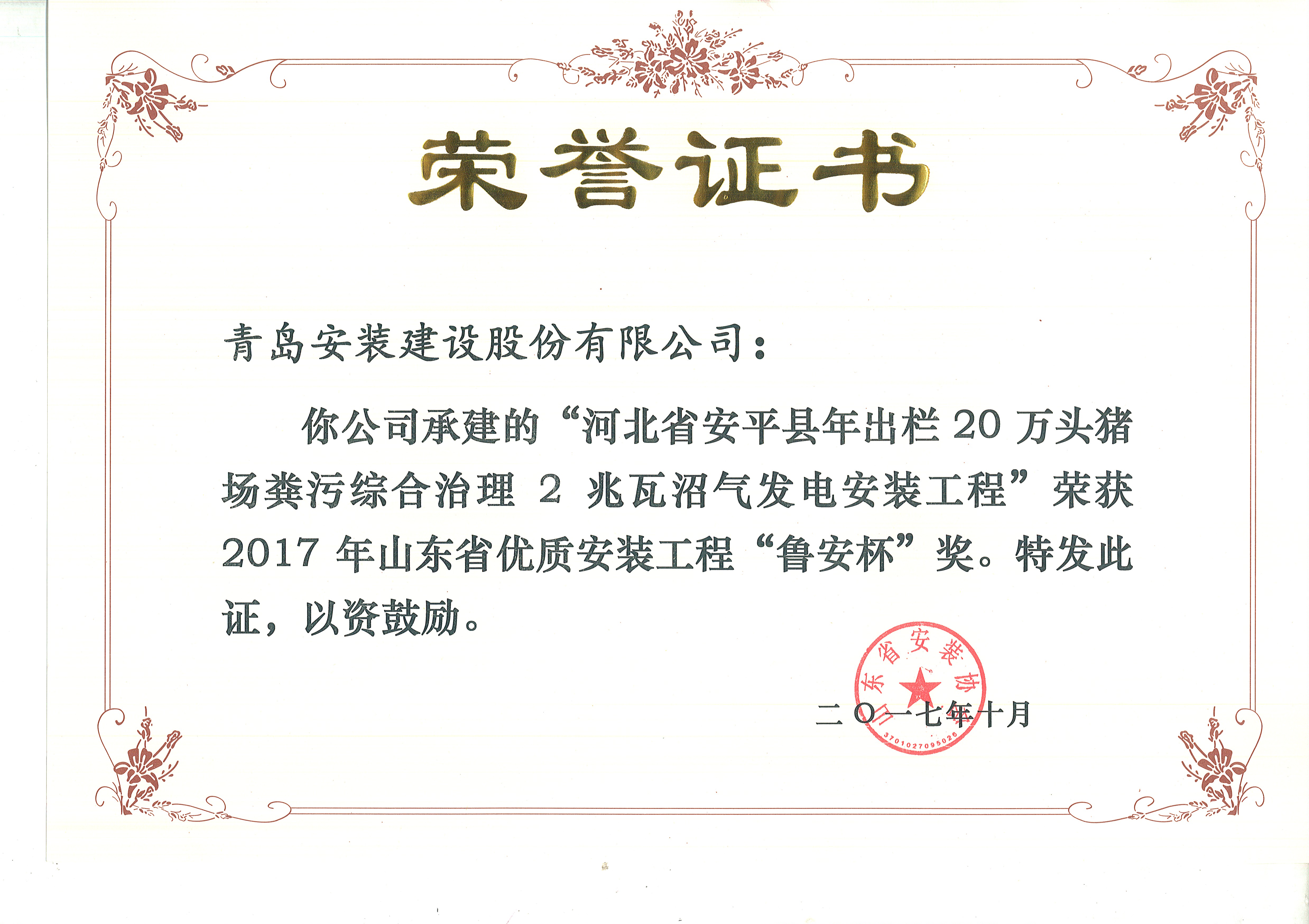 73、17魯安杯-河北安平2兆瓦沼氣發電.jpg